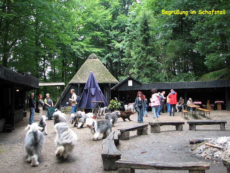 Begr��ung im Schafstall