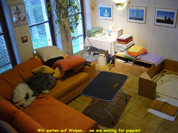 Wir warten auf Welpen....we are waiting for puppies!