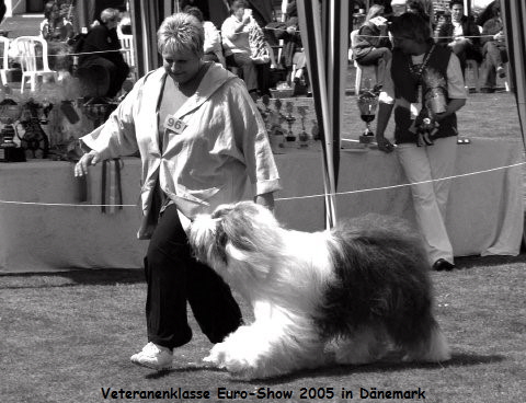 Veteranenklasse Euro-Show 2005 in D�nemark