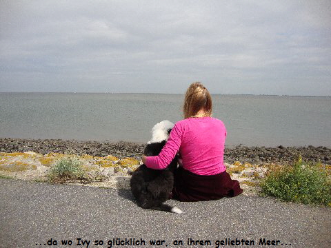 ...da wo Ivy so gl�cklich war, an ihrem geliebten Meer...