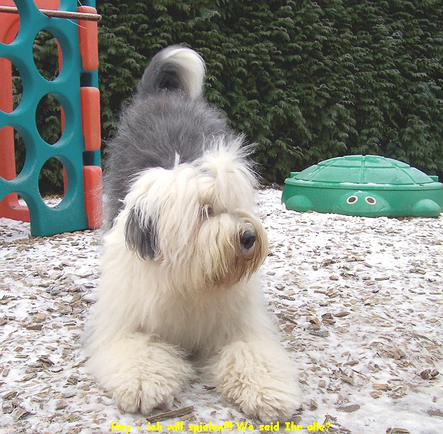 Hey - ich will spielen!!! Wo seid Ihr alle?