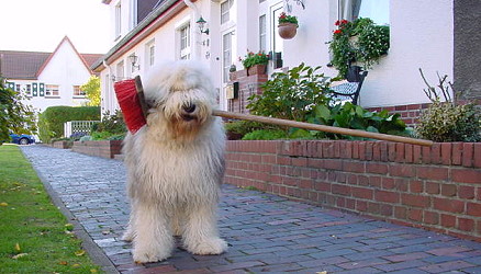 Ich fang schon mal an zu fegen!