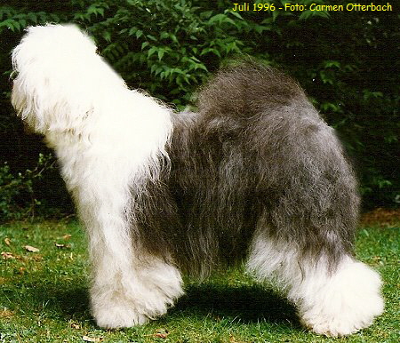 Juli 1996 - Foto: Carmen Otterbach