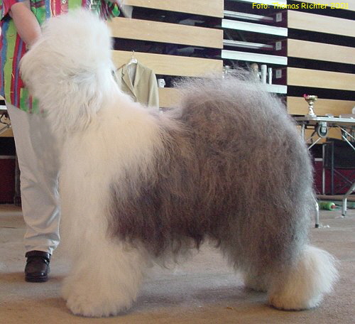 Foto: Thomas Richter 2001