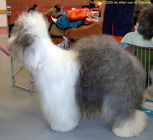 Foto von 2005 im Alter von 10 Jahren!