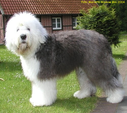 Foto: Marietta Wiskow Mai 2004