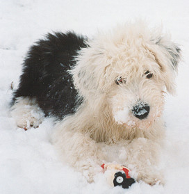 Mein Cooler-Baby 4 Monate alt