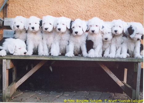 10 kleine Cooler-Kids-Gesichter :-)