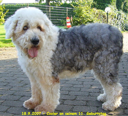 18.9.2007 - Cooler an seinem 11. Geburtstag