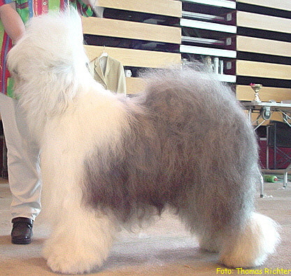 Cooler auf der Ausstellung