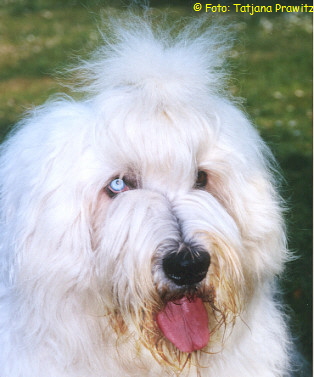 Knnen diese Augen lgen ?