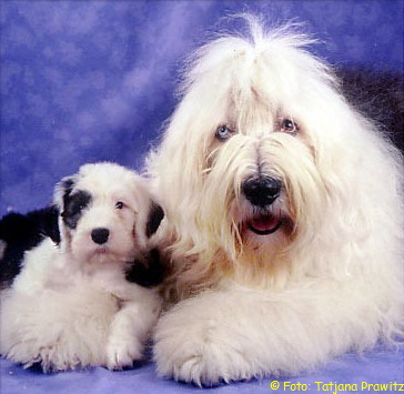  Foto: Tatjana Prawitz