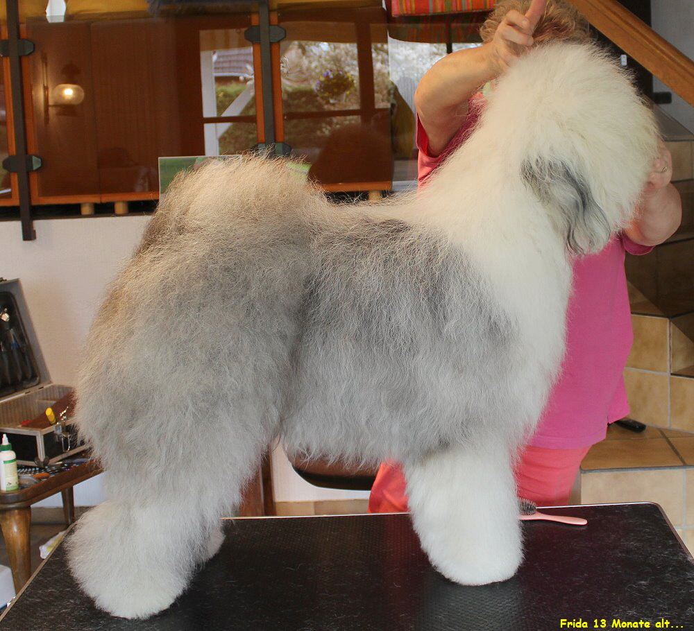 Frida 13 Monate alt...