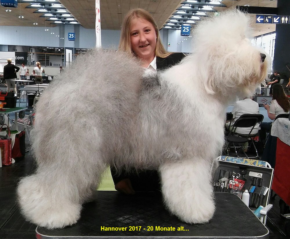 Hannover 2017 - 20 Monate alt...