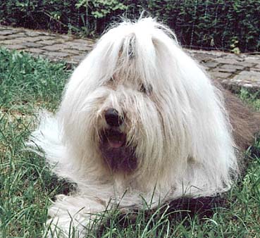 All my Dreams from Beautifull Highland im Alter von 15 Jahren!