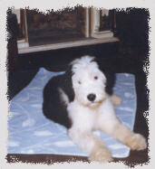 Bruno's erster Tag bei uns