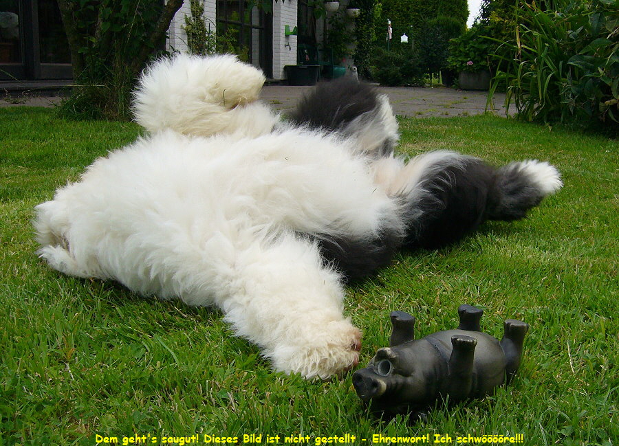 Dem geht's saugut! Dieses Bild ist nicht gestellt - Ehrenwort! Ich schwre!!!