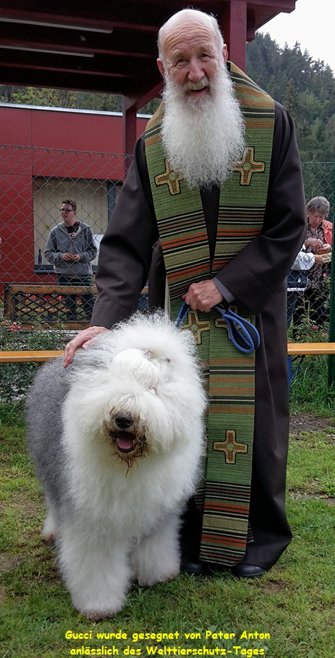 Gucci wurde gesegnet von Pater Anton
anlässlich des Welttierschutz-Tages