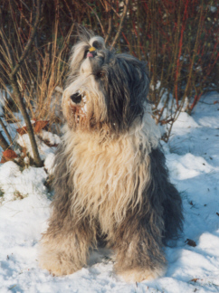 Angie schwanger im Schnee
