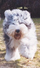 Sie hatte Temperament !