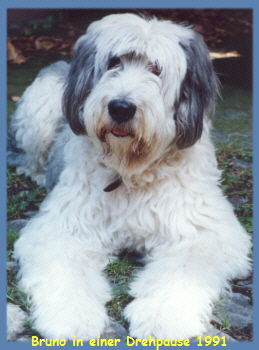 Bruno in einer Drehpause