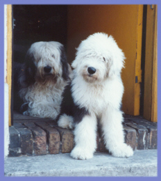 Unsere Brotr stand immer offen...
