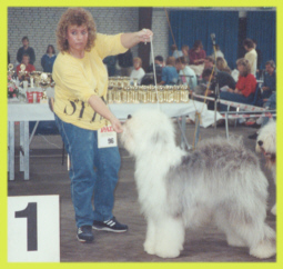 Der 3. Sieg zum Jugendchampion unter M.James