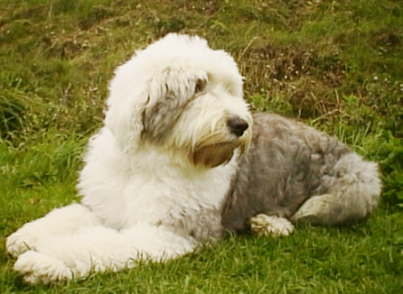 Was sie wohl gerade denkt ? Was sie wohl gerade denkt ?