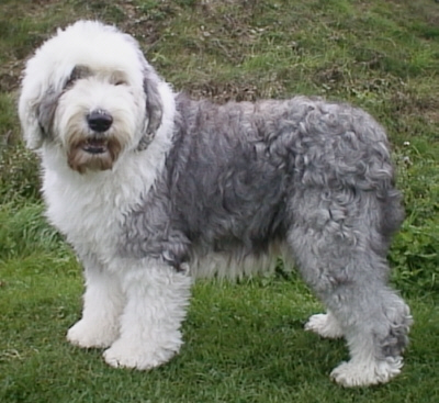 Fanny Mae aus der Alten Noris Fanny Mae aus der Alten Noris