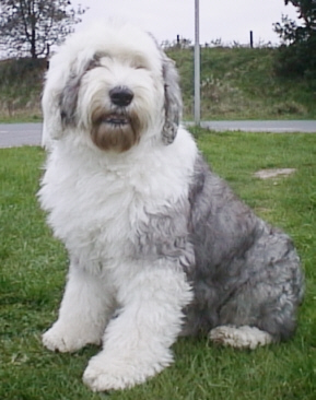 Auf dem Weg zu Whitey 2001