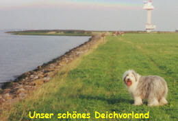 Unser schnes Deichvorland