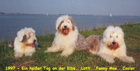 1997 - Ein heier Tag an der Elbe...Lotti...Fanny Mae...Cooler