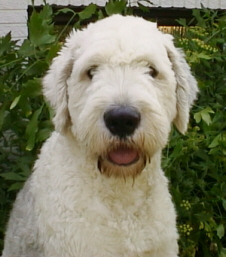 Und so guckt sie immer :-)