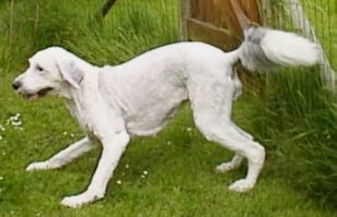 Die nackte Spielaufforderung!