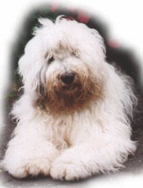 Lotte mal mit typischem Schmutzbart *g*