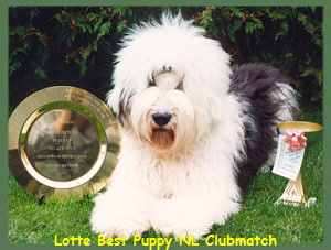 Lotte Best Puppy NL Clubmatch