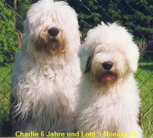 Charlie 6 Jahre und Lotti 5 Monate alt