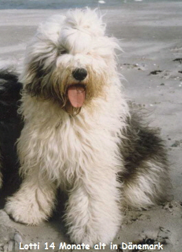 Lotte 14 Monate in Dnemark