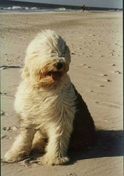 Im Element der Gezeiten...