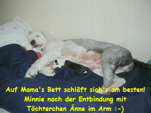 Auf Mama's Bett schlft sich's am besten!
