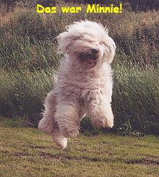 Das ist Minnie wie sie leibt und lebt!