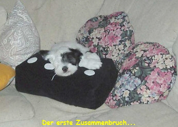 Der erste Zusammenbruch...