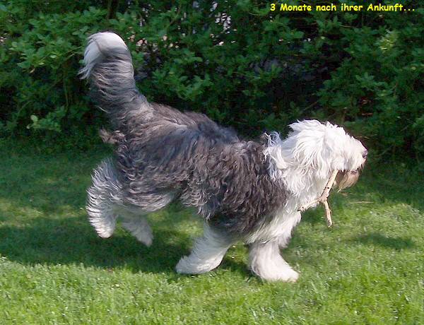 3 Monate nach ihrer Ankunft...