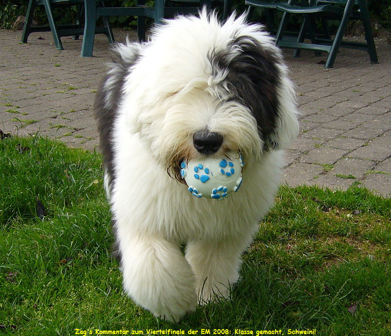 Zag's Kommentar zum Viertelfinale der EM 2008: Klasse gemacht, Schweini!