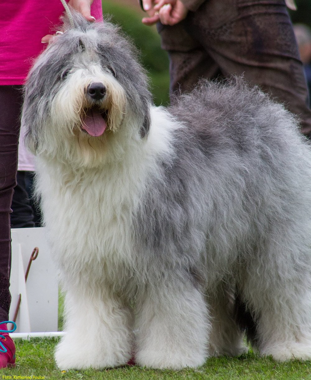 Foto: Katharina Paulus