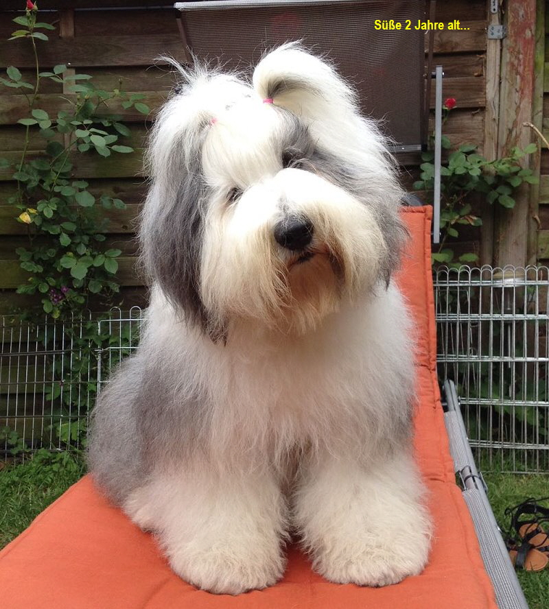 Se 2 Jahre alt...