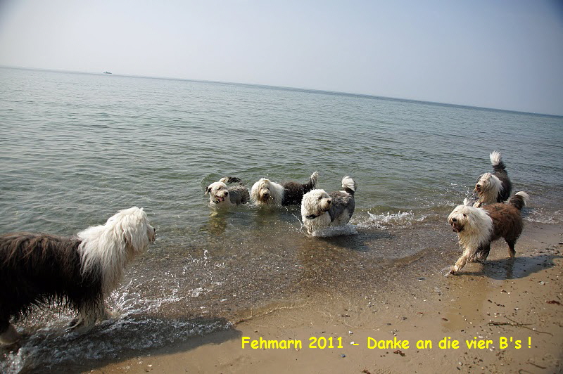 Fehmarn 2011 - Danke an die vier B's !