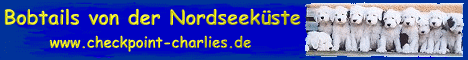 Gesunde, wundersch&ouml;ne und wesensfeste Bobtails aus langj&auml;hrig erfahrener VDH-Zucht.