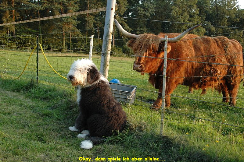 Okay, dann spiele ich eben alleine...