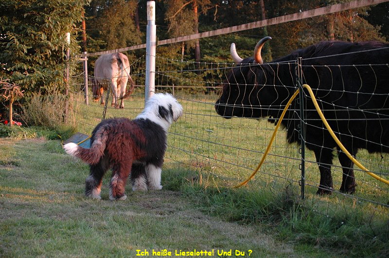 Ich heie Lieselotte! Und Du ?